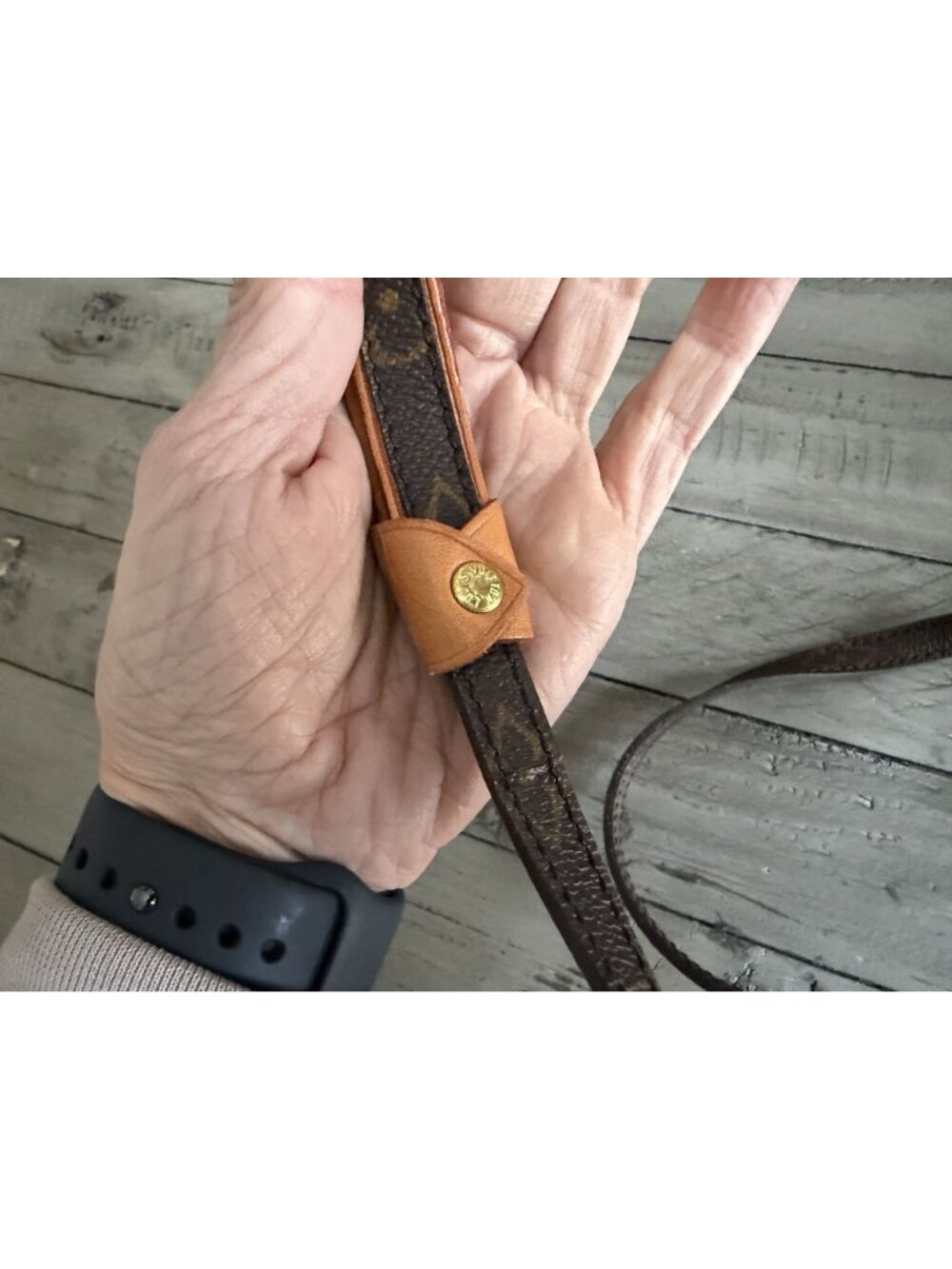 LOUIS VUITTON Baxter PM Dog Collar & Leash Small dog - Picture 7 of 8